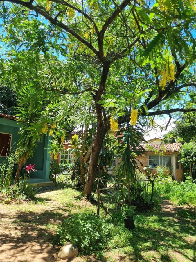 Vila Das Acacias 韦尔卡鲍 外观 照片